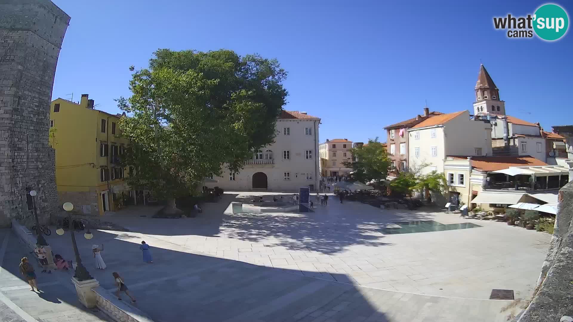 Zadar – Trg Petra Zoranića