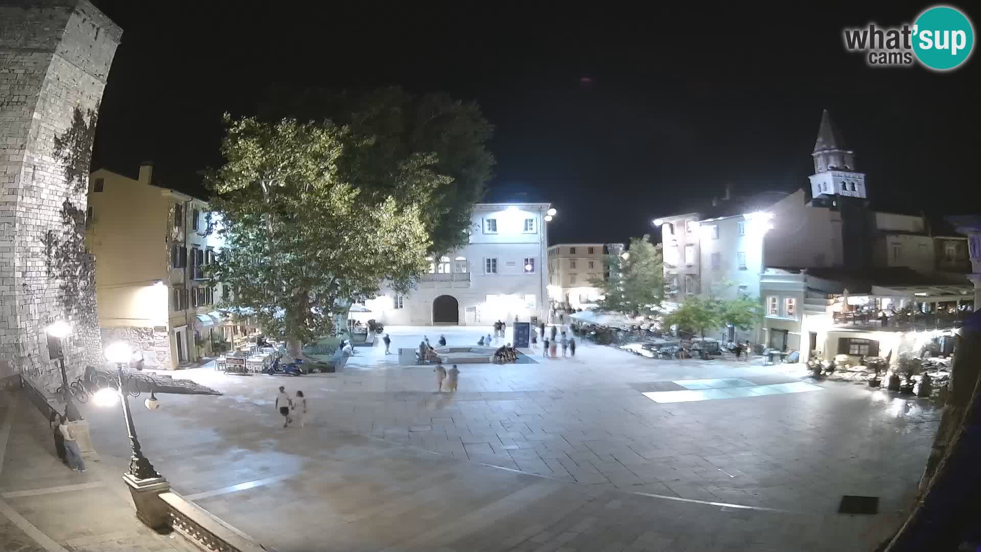 Zadar – Trg Petra Zoranića