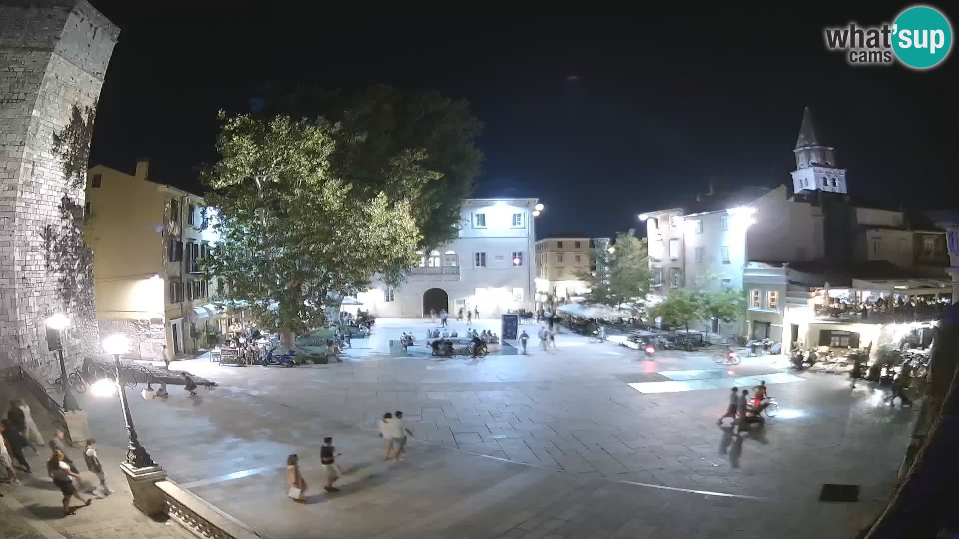Zadar – Trg Petra Zoranića