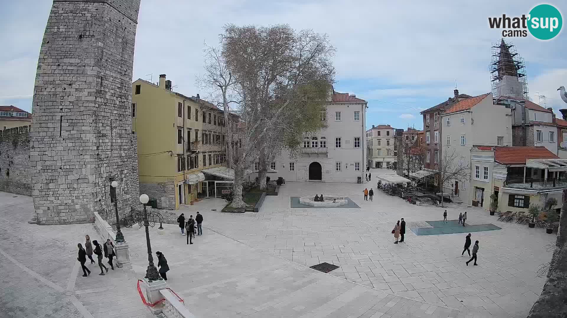 Zadar – Trg Petra Zoranića