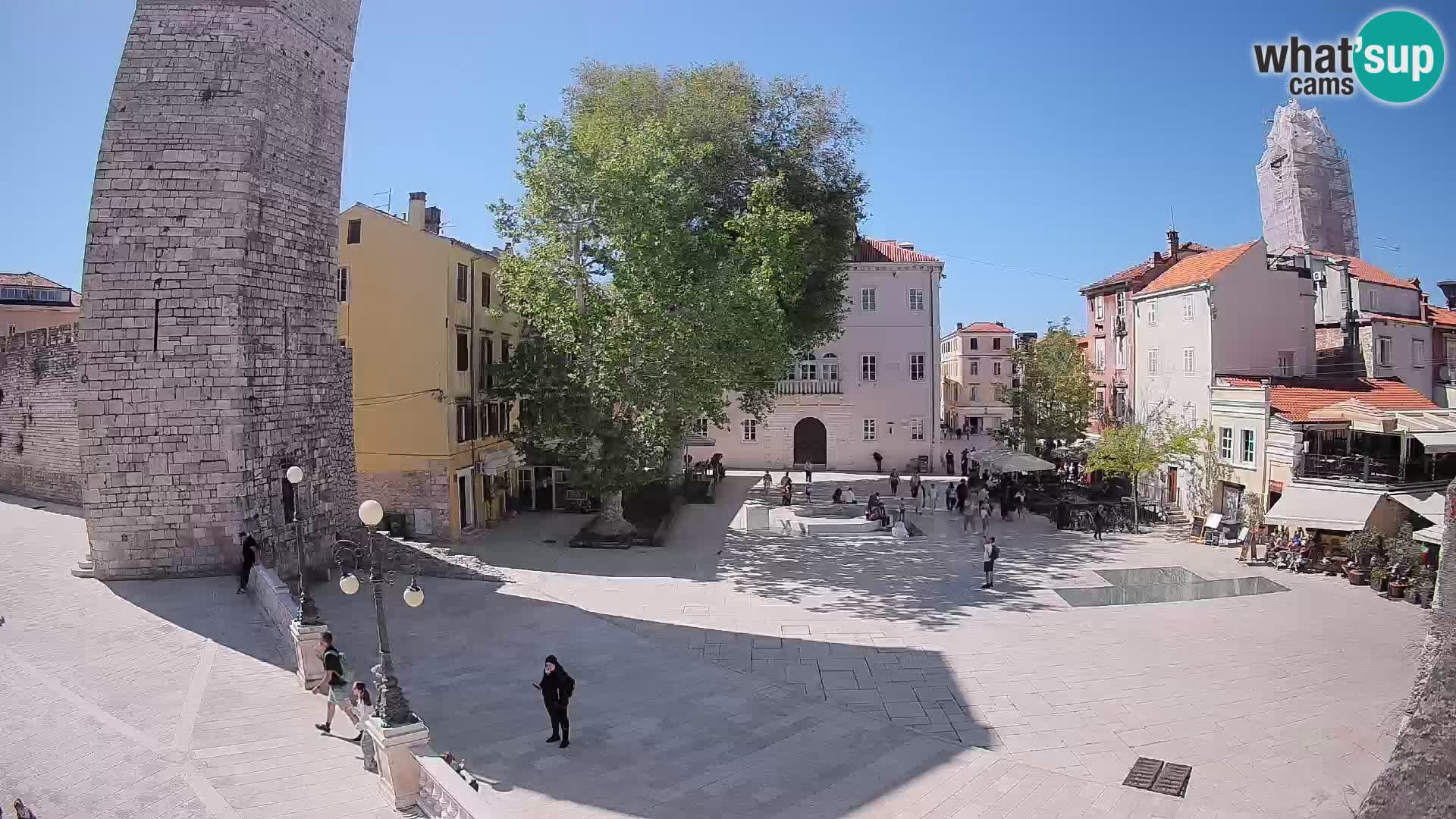 Zadar – Trg Petra Zoranića