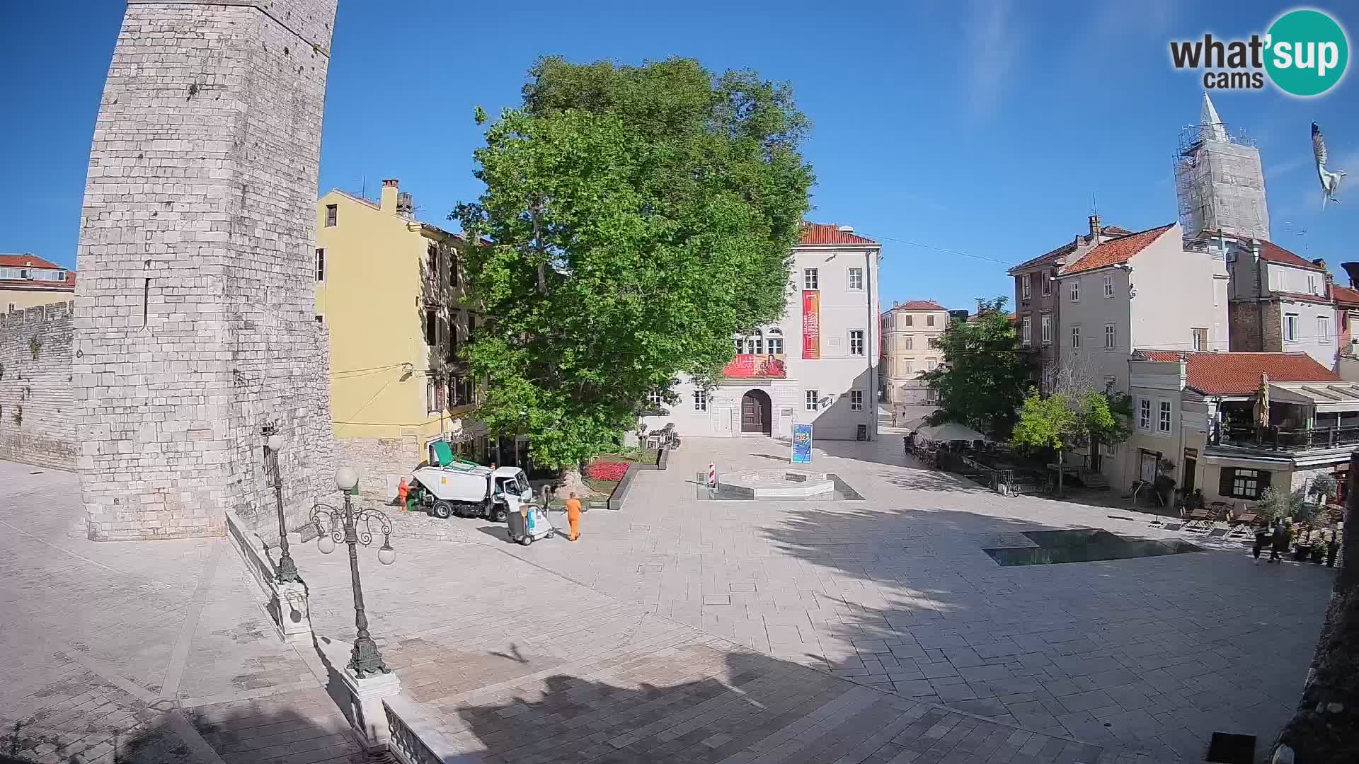 Zadar – Trg Petra Zoranića