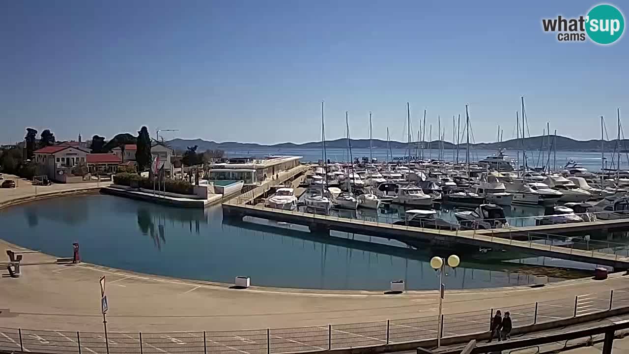 Marina Borik camera en vivo Zadar