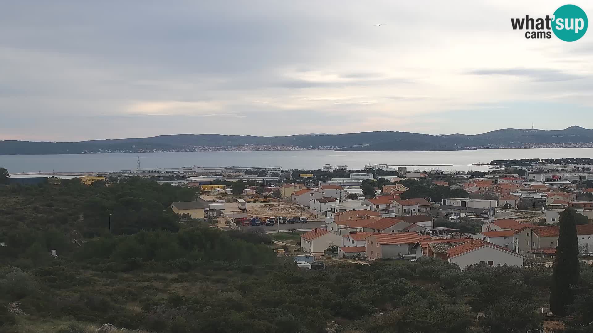 Zadar Porto di Gazenica Webcam Panorama, Zara, Croazia