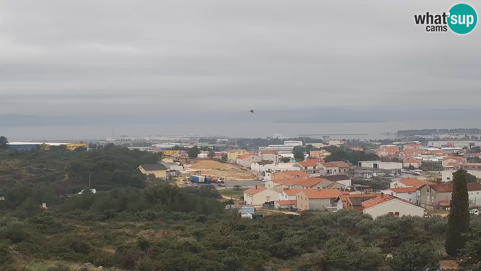 Zadar Pristanišče Gazenica s panoramsko spletno kamero, Zadar, Hrvaška