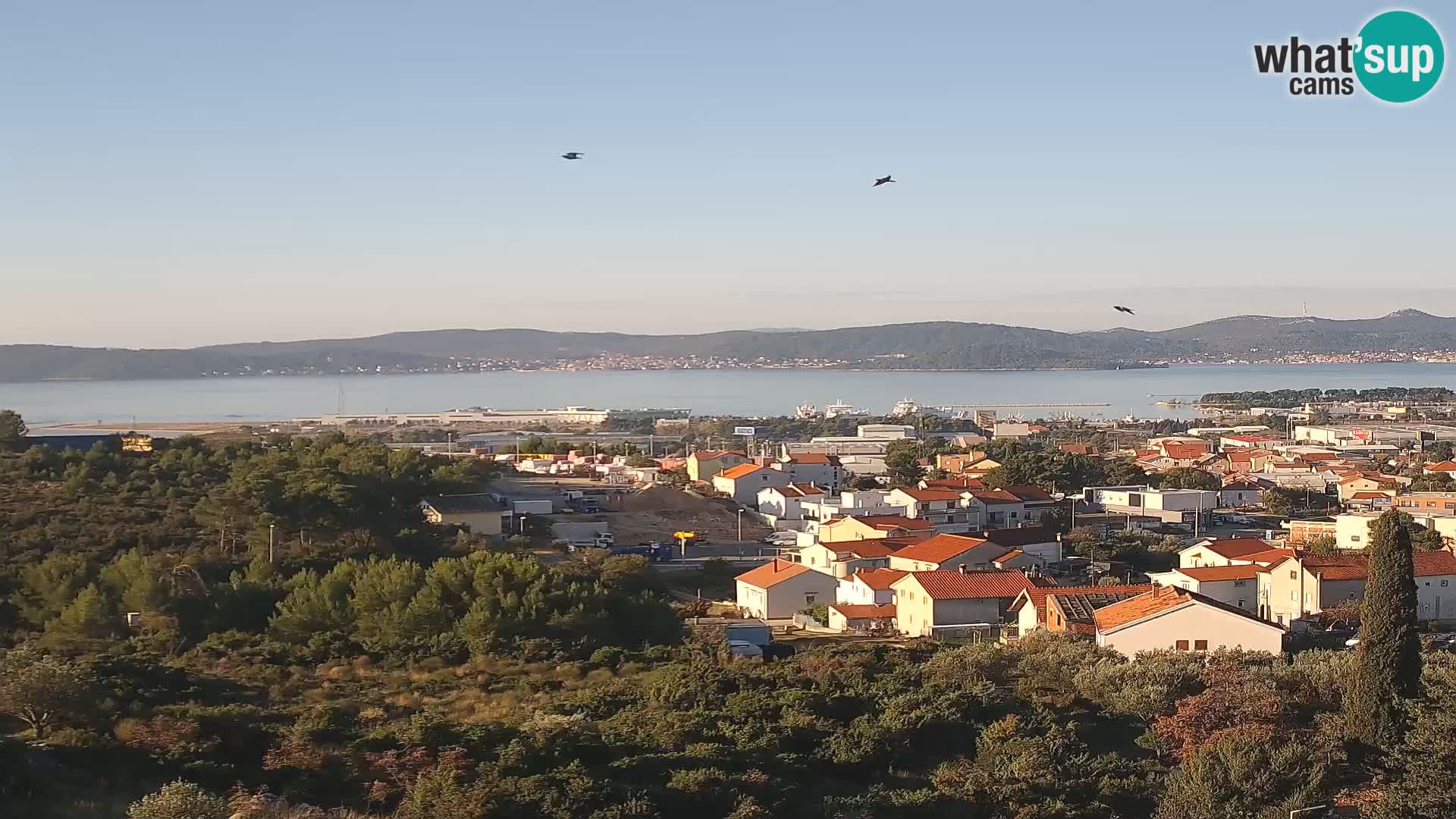 Zadar Porto di Gazenica Webcam Panorama, Zara, Croazia