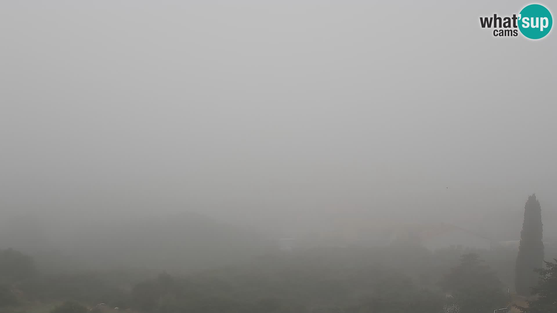 Panorama de la Webcam del Puerto Gazenica de Zadar, Zadar, Croacia