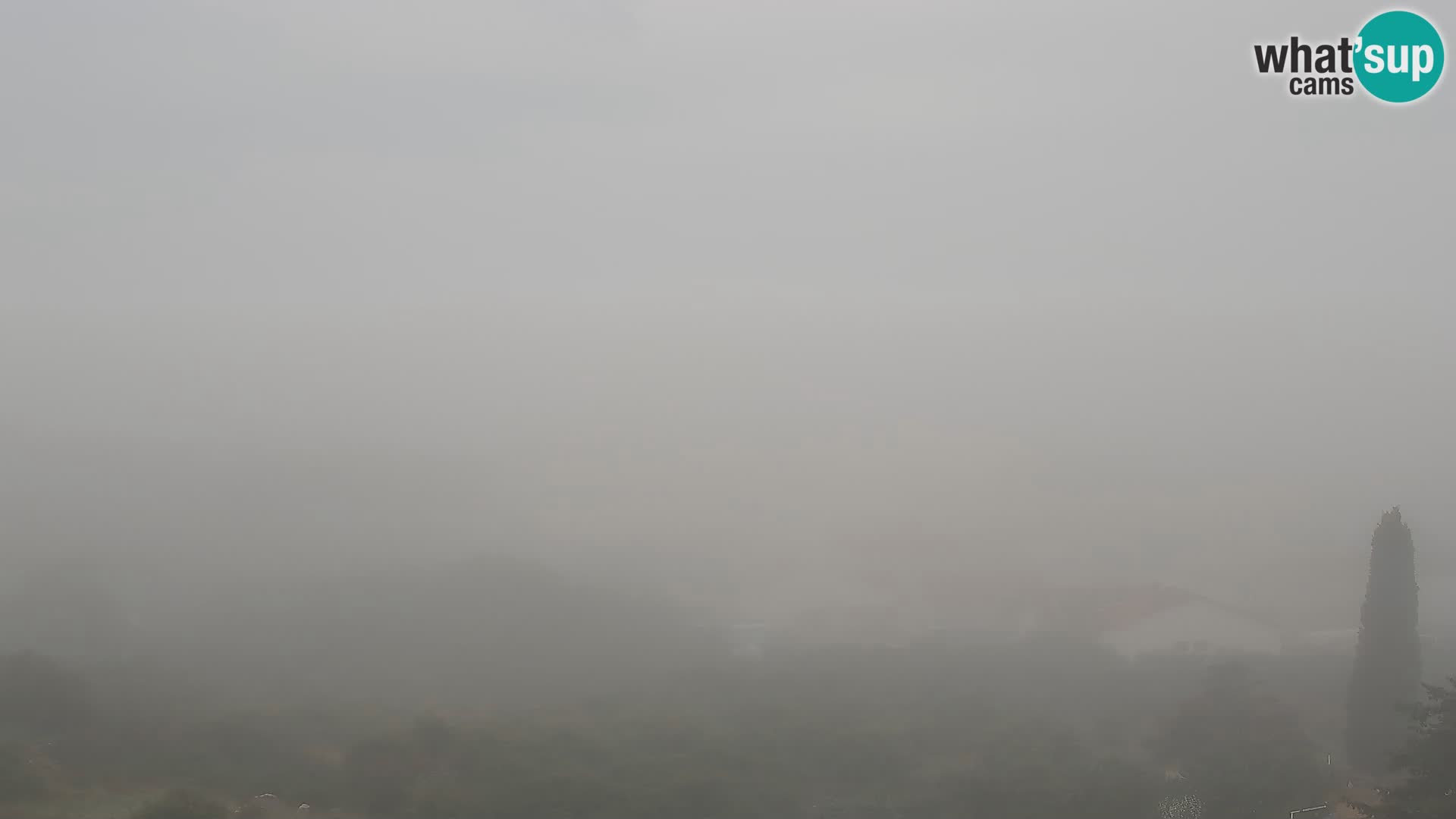 Panorama de la Webcam del Puerto Gazenica de Zadar, Zadar, Croacia