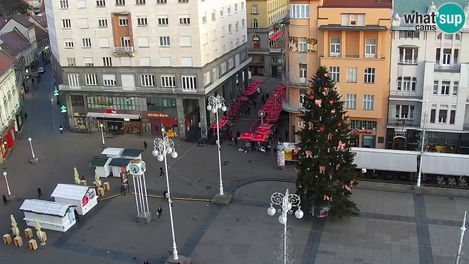 Trg Bana Jelačića v živo Zagreb – Hotel Dubrovnik