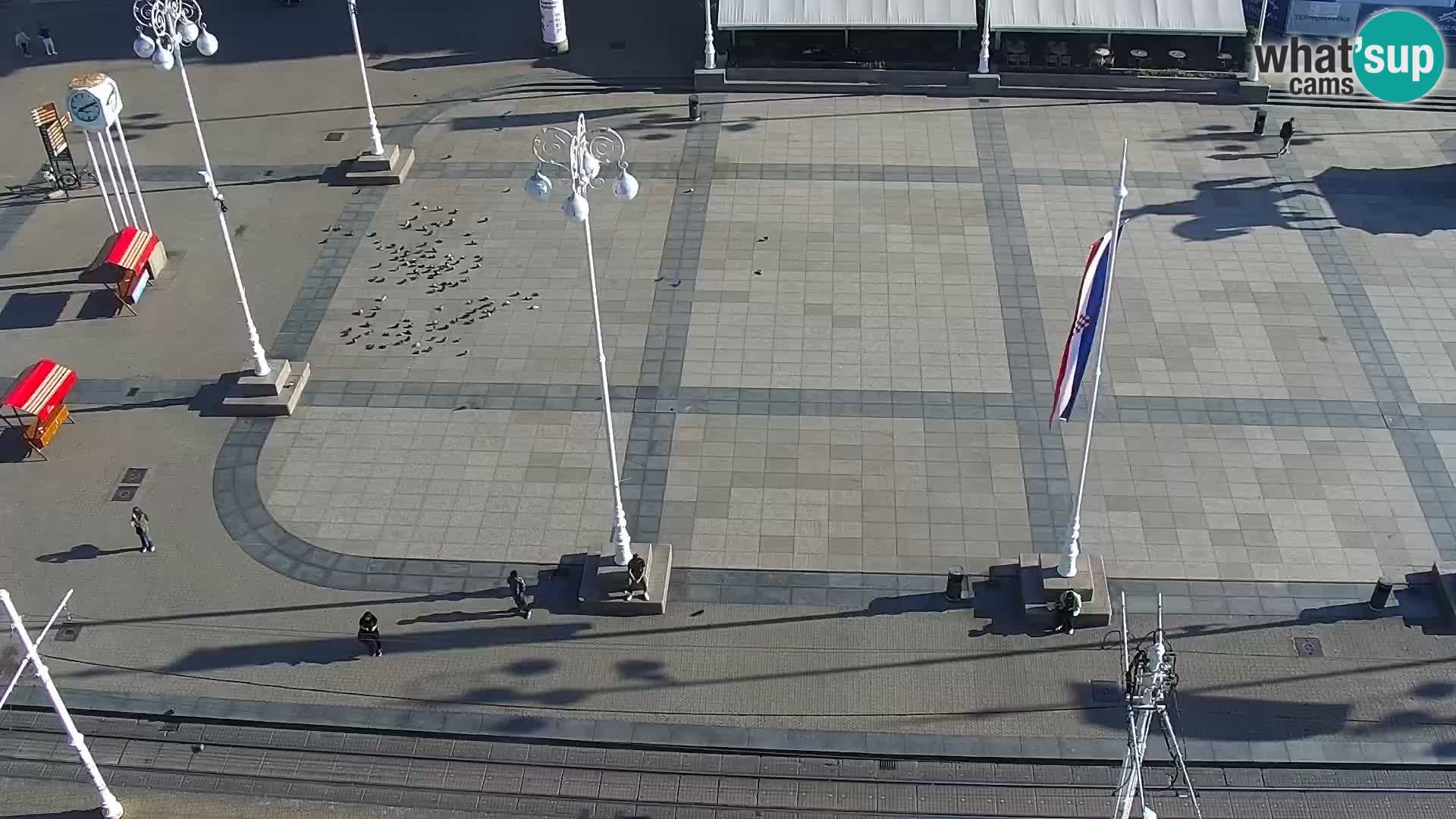 Trg Bana Jelačića v živo Zagreb – Hotel Dubrovnik
