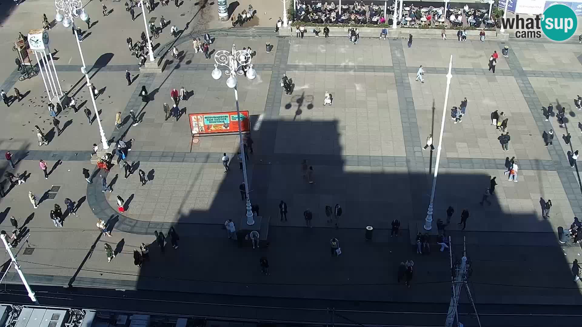 Trg Bana Jelačića v živo Zagreb – Hotel Dubrovnik