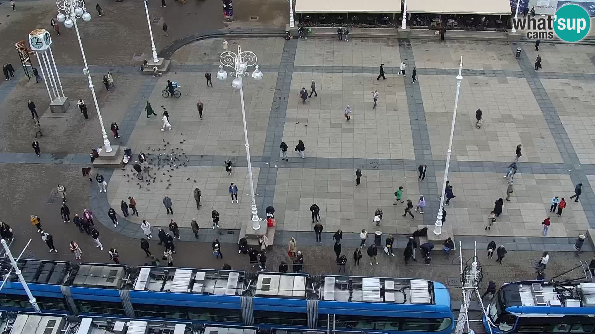 Trg Bana Jelačića v živo Zagreb – Hotel Dubrovnik