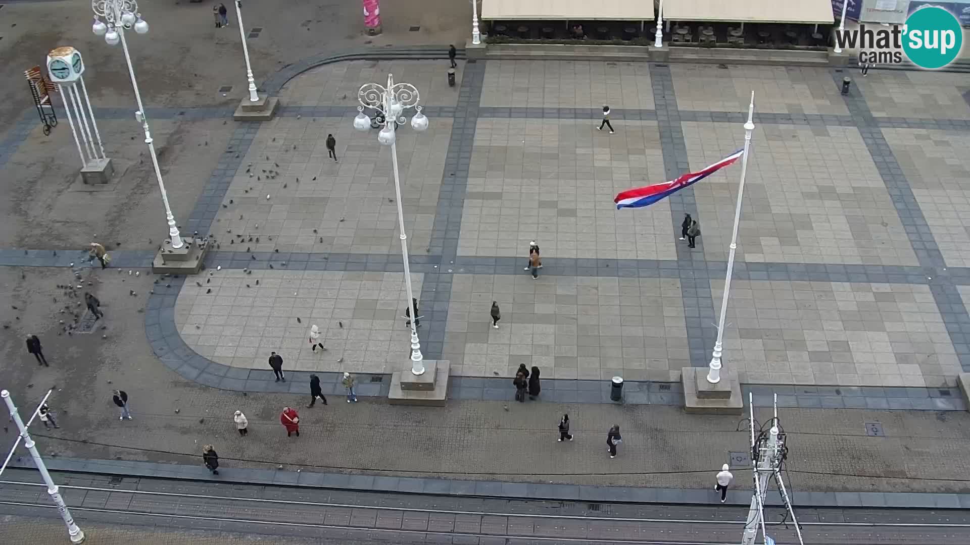 Trg Bana Jelačića v živo Zagreb – Hotel Dubrovnik