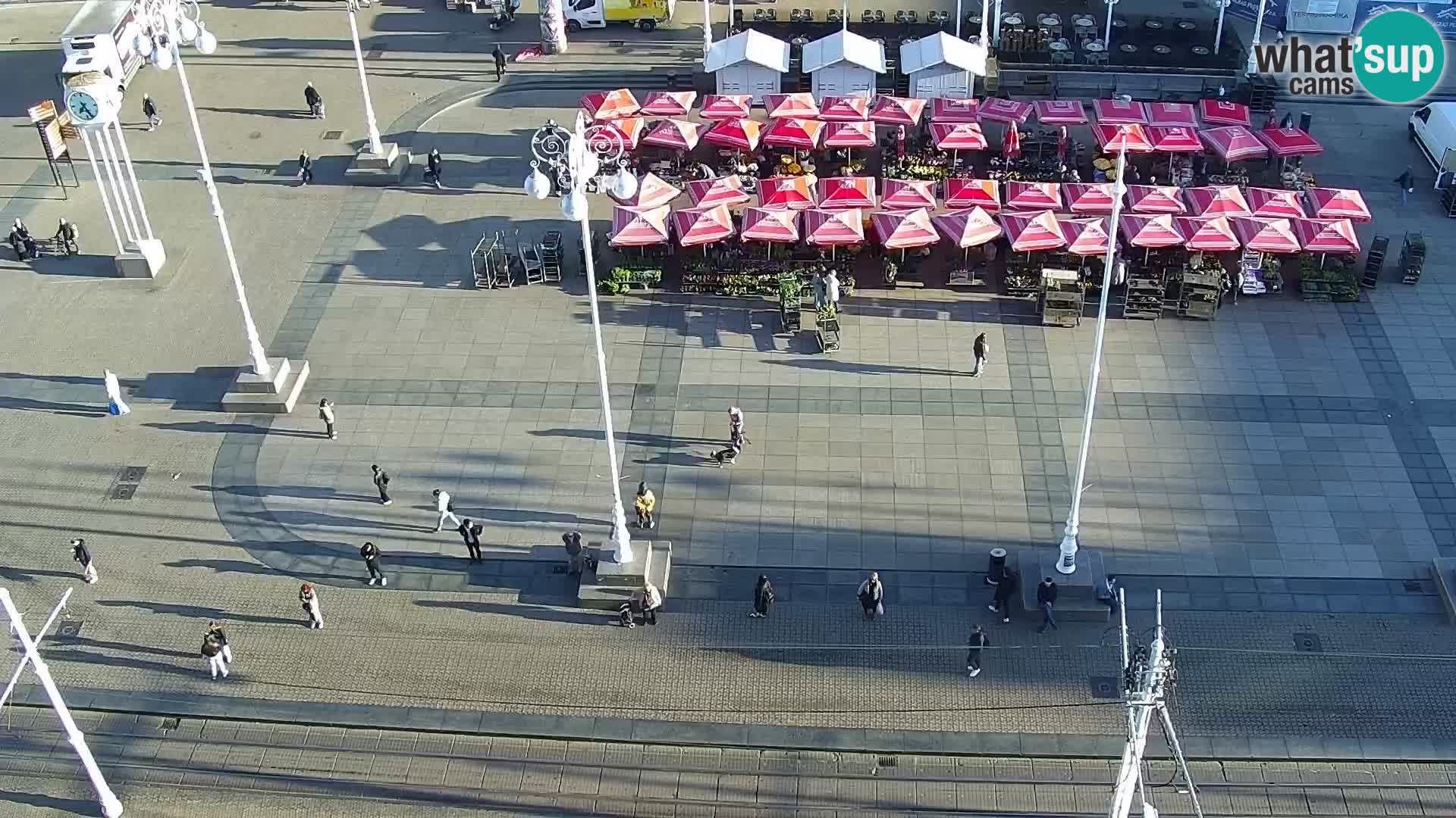 Trg Bana Jelačića v živo Zagreb – Hotel Dubrovnik