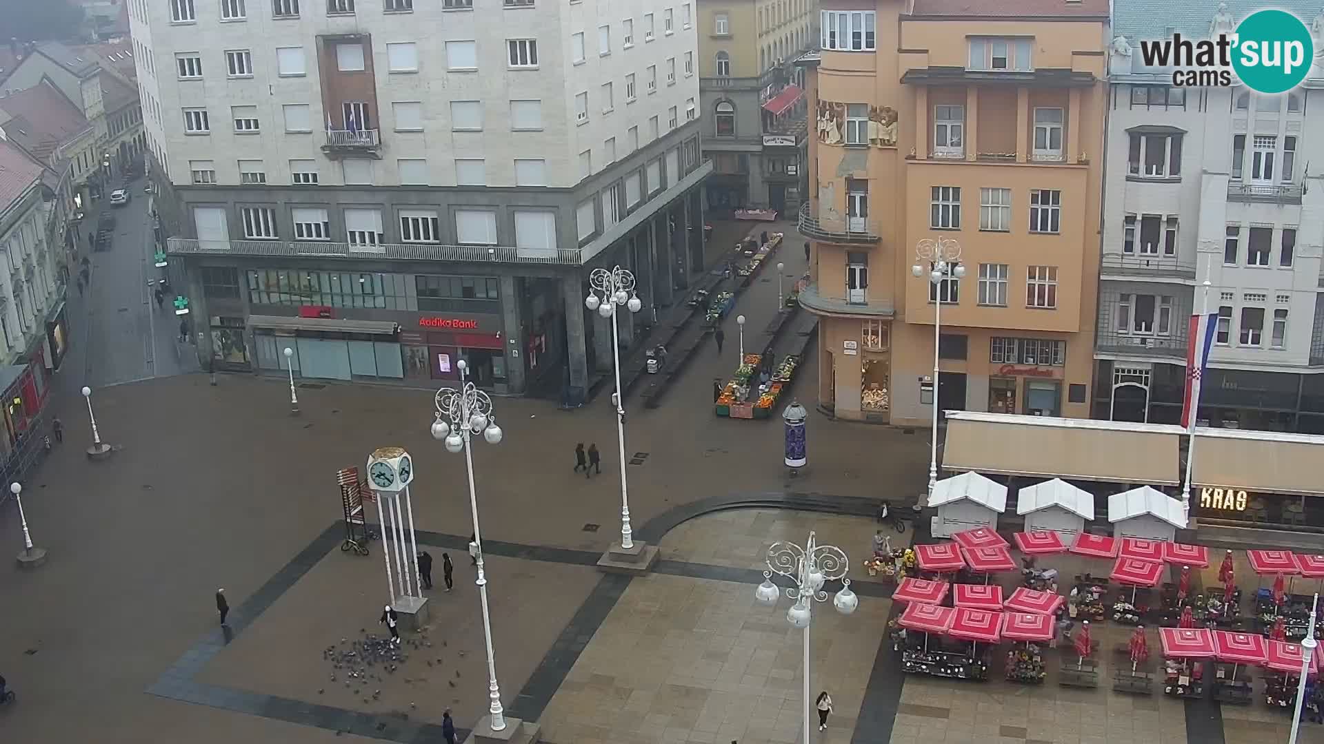 Trg Bana Jelačića v živo Zagreb – Hotel Dubrovnik