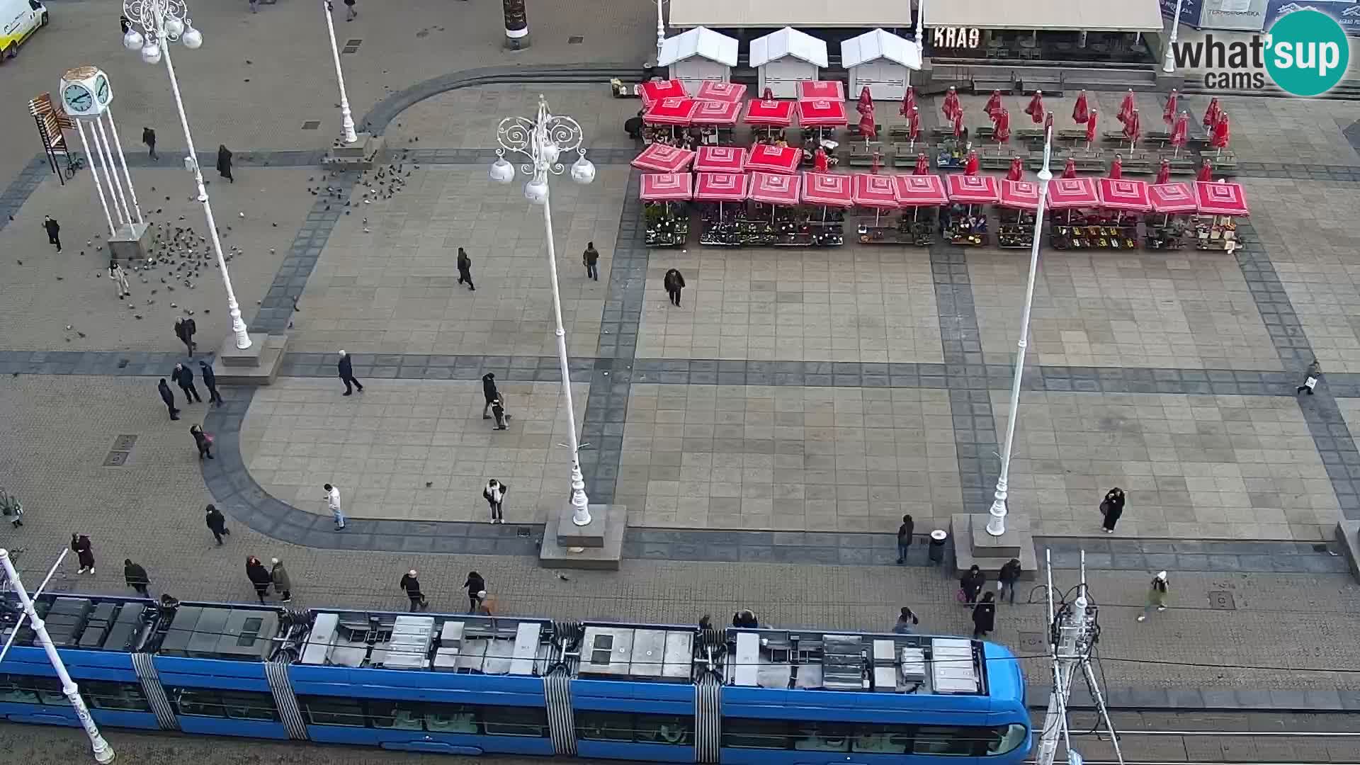 Trg Bana Jelačića v živo Zagreb – Hotel Dubrovnik