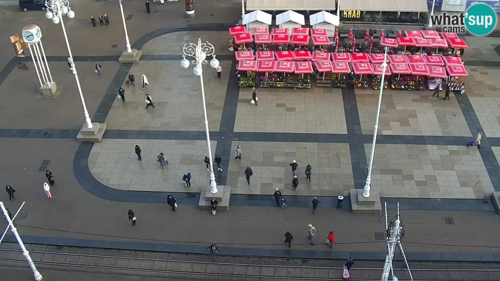 Trg Bana Jelačića v živo Zagreb – Hotel Dubrovnik