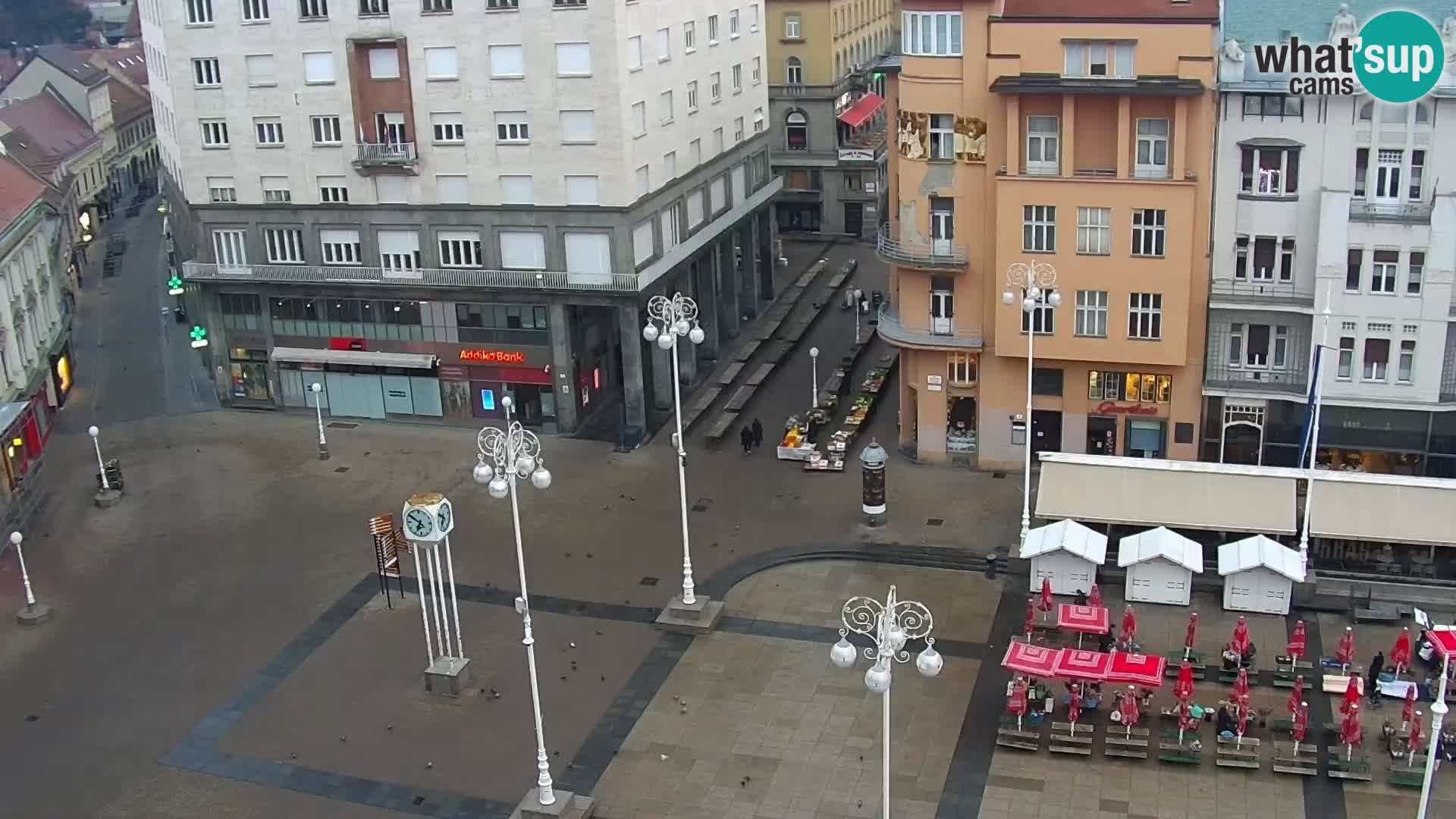 Trg Bana Jelačića v živo Zagreb – Hotel Dubrovnik