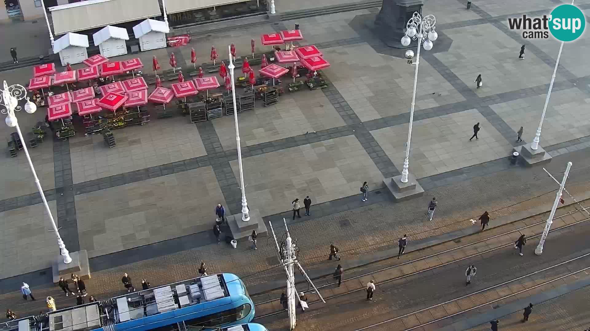 Trg Bana Jelačića v živo Zagreb – Hotel Dubrovnik