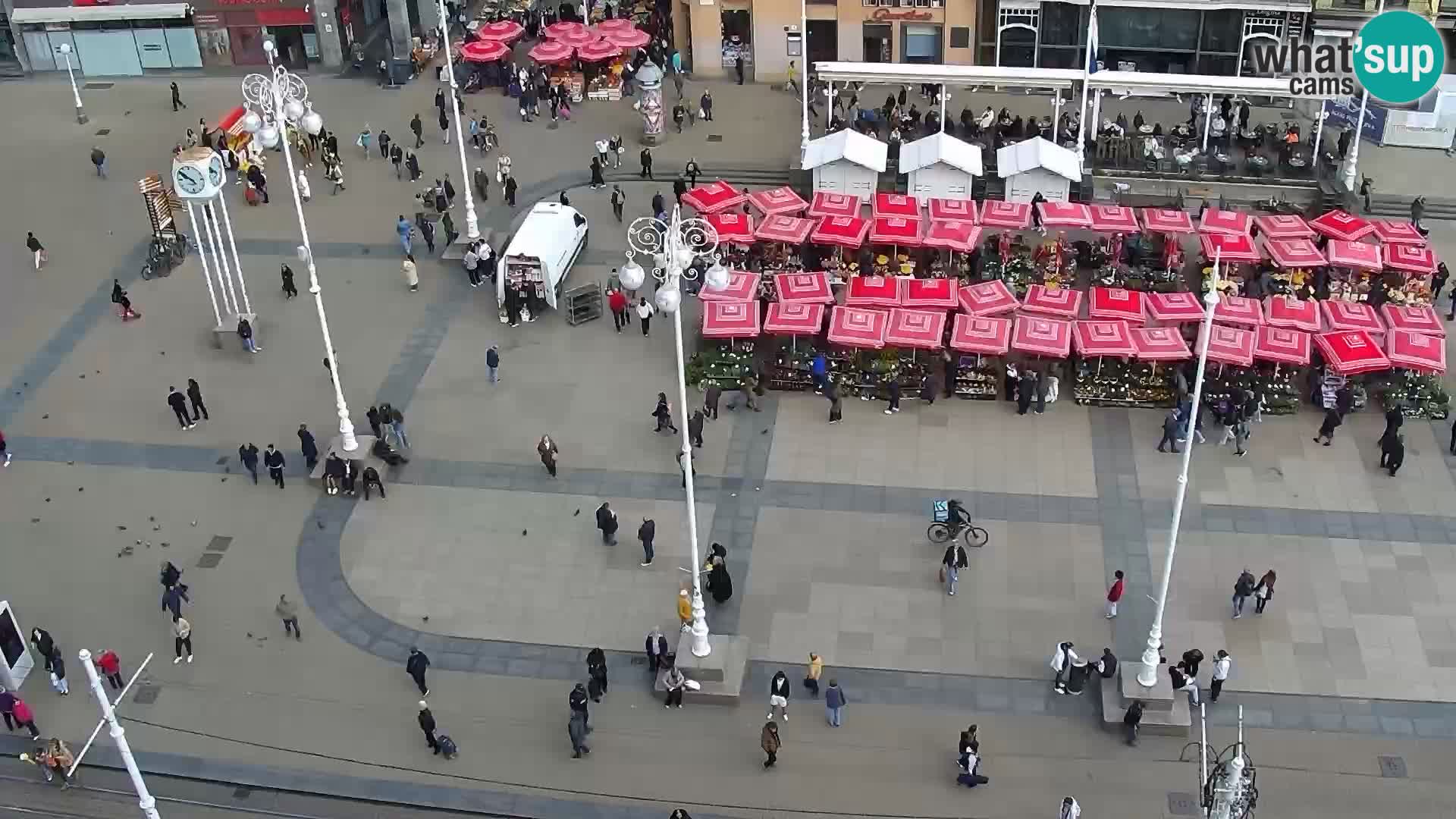 Trg Bana Jelačića v živo Zagreb – Hotel Dubrovnik