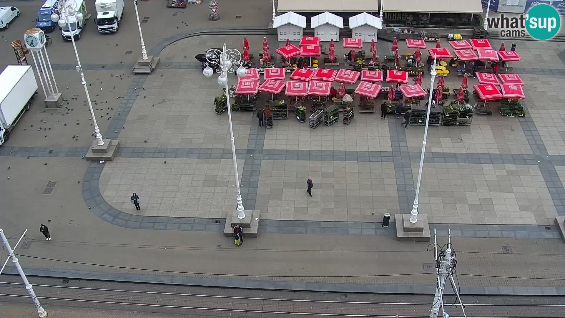 Ban Jelačić live cam Zagreb – Hotel Dubrovnik