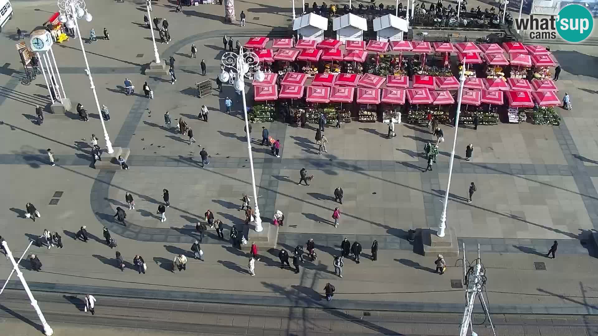 Ban Jelačić live cam Zagreb – Hotel Dubrovnik