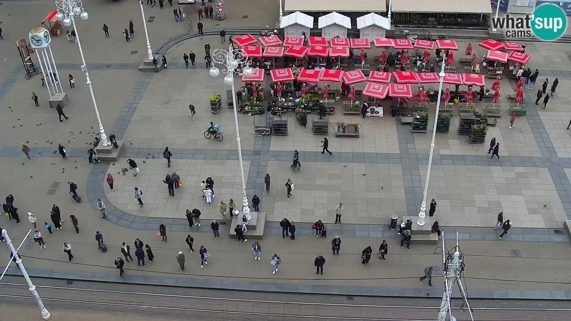 LIVE Webcam Zagreb Hotel Dubrovnik | Ban Jelačić square