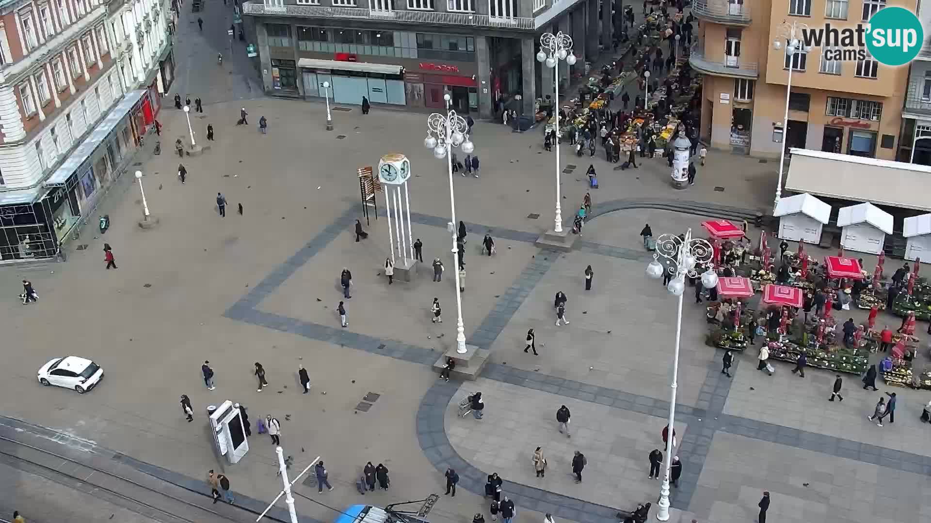 Trg Bana Jelačića v živo Zagreb – Hotel Dubrovnik