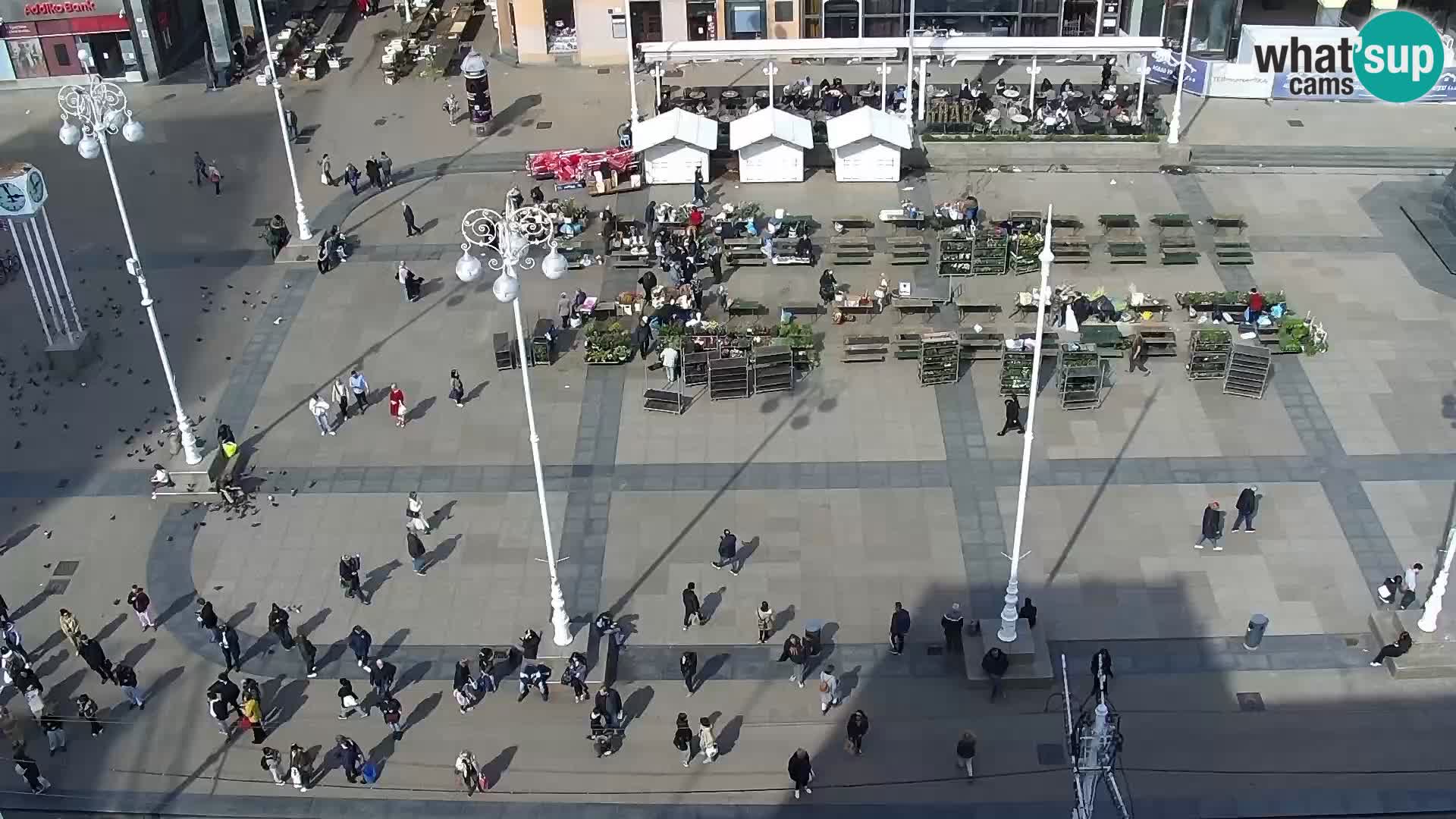 Ban Jelačić live cam Zagreb – Hotel Dubrovnik