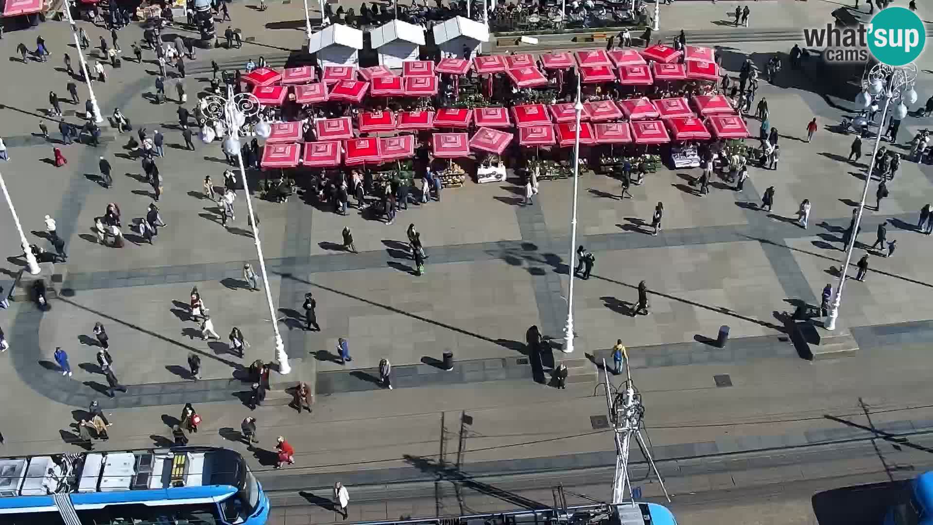 LIVE Webcam Zagreb Hotel Dubrovnik | Ban Jelačić square