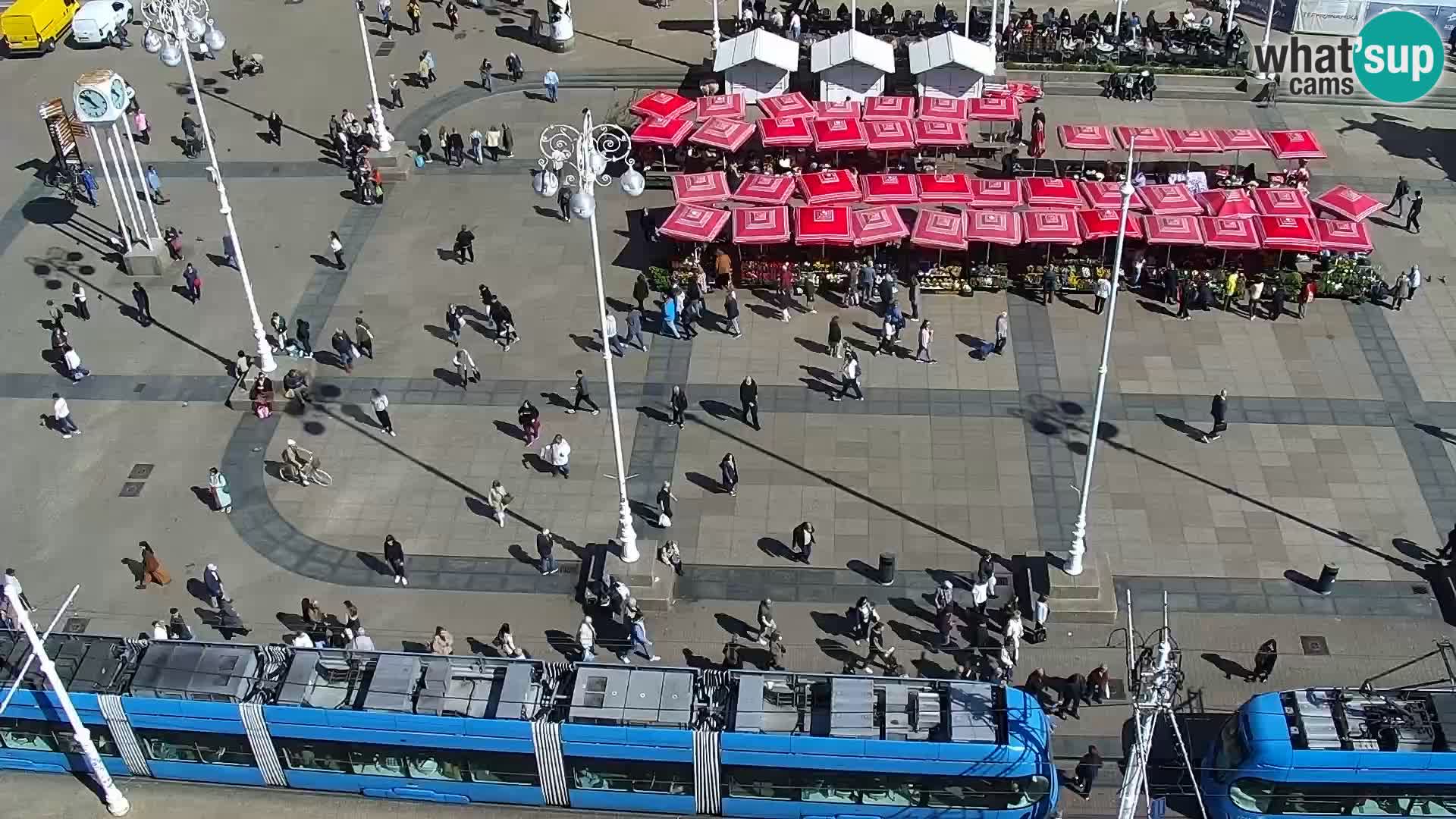 Trg Bana Jelačića v živo Zagreb – Hotel Dubrovnik