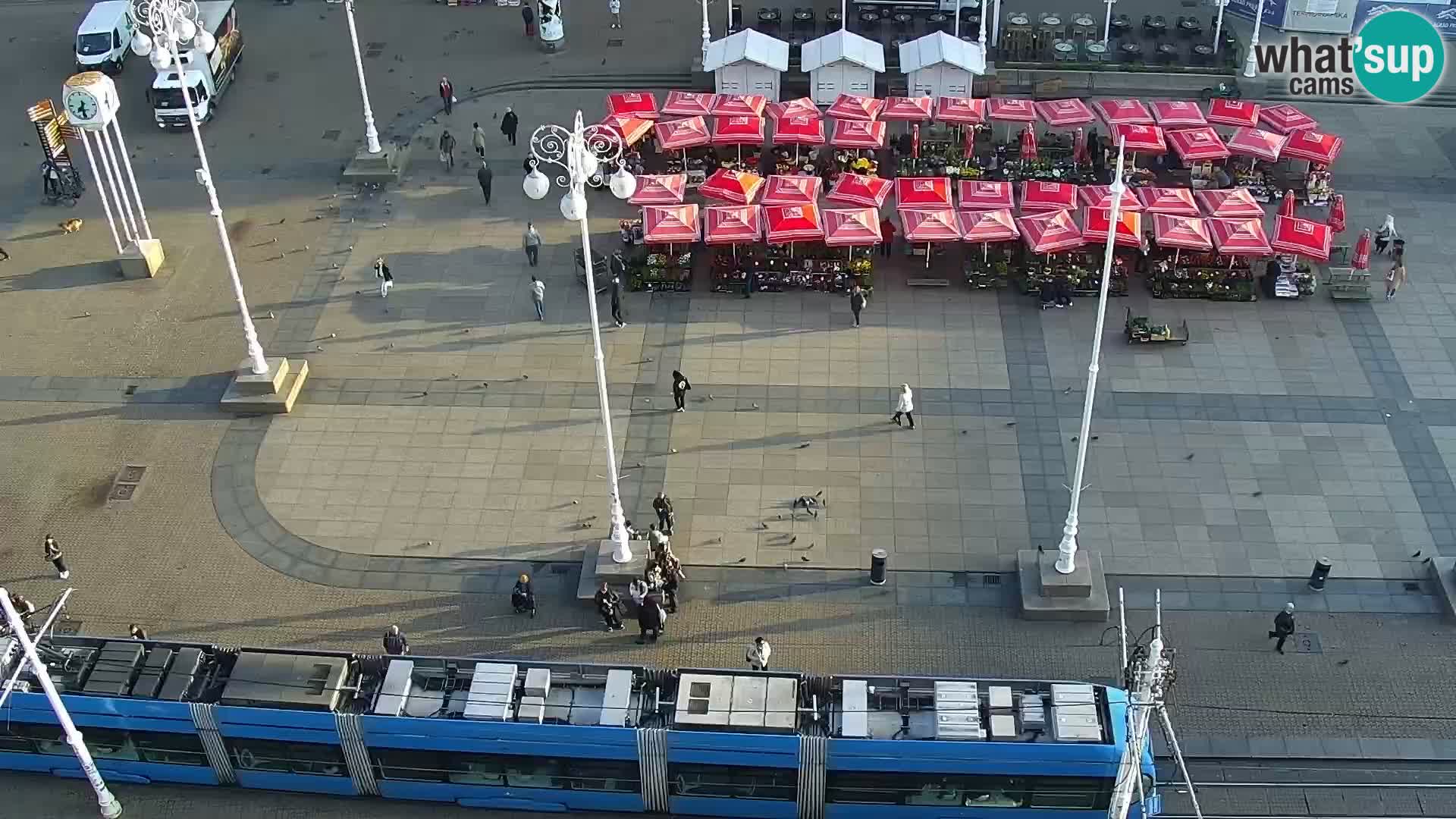 Ban Jelačić live cam Zagreb – Hotel Dubrovnik