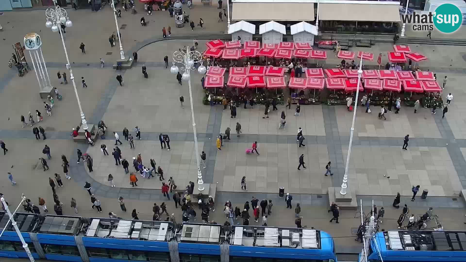 Trg Bana Jelačića v živo Zagreb – Hotel Dubrovnik