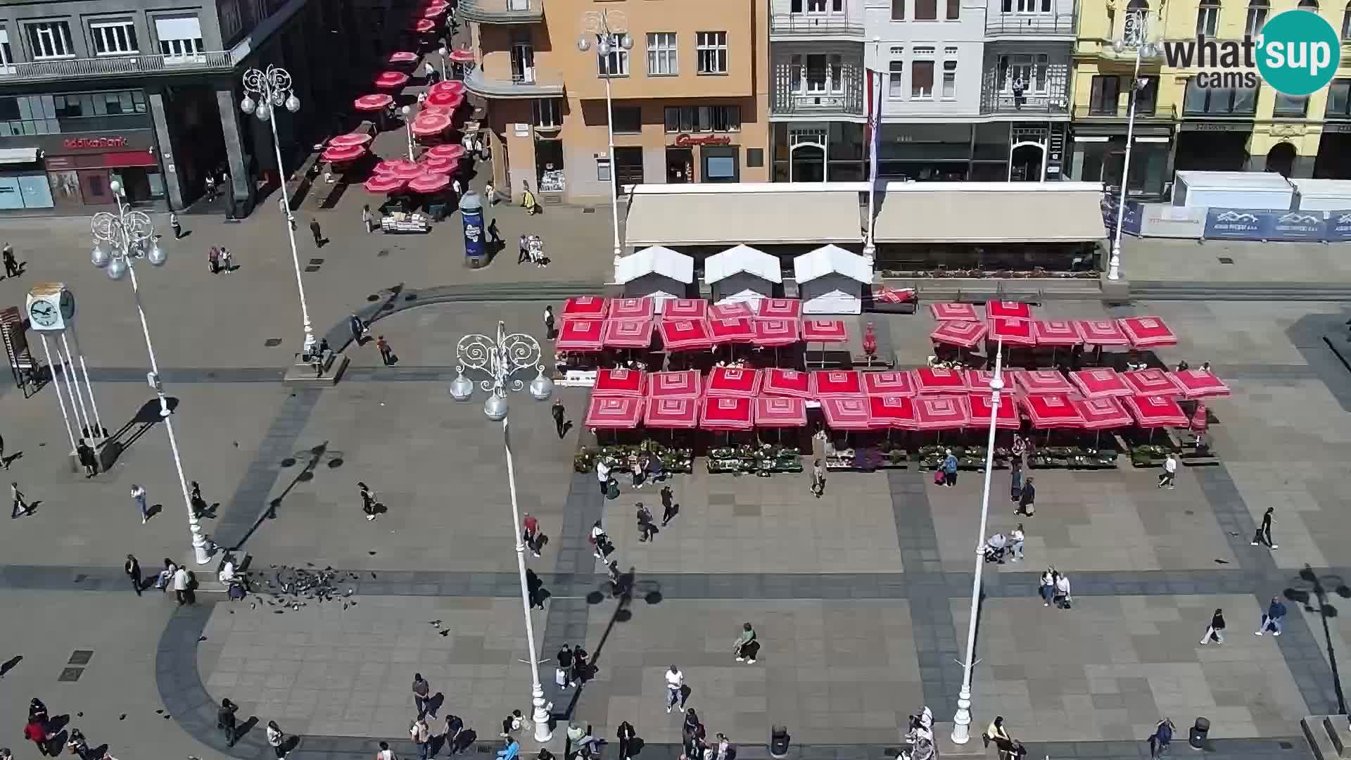 Trg Bana Jelačića v živo Zagreb – Hotel Dubrovnik