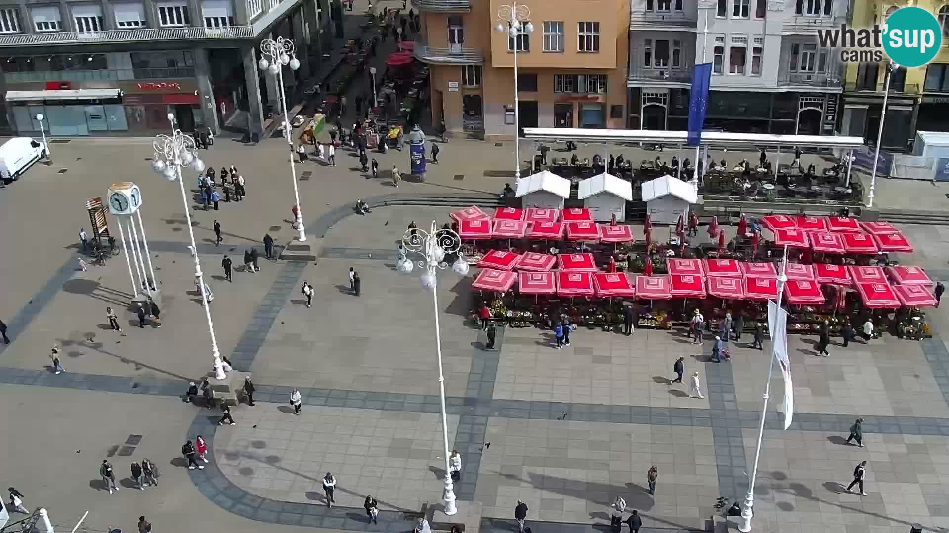 Trg Bana Jelačića v živo Zagreb – Hotel Dubrovnik