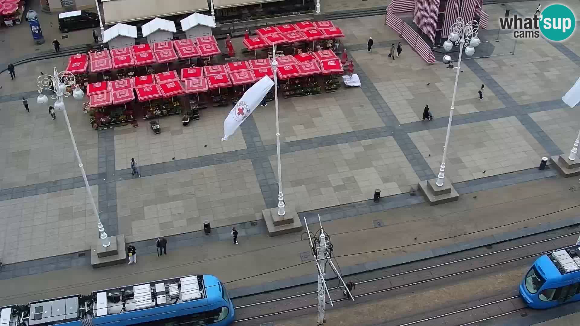 Trg Bana Jelačića v živo Zagreb – Hotel Dubrovnik