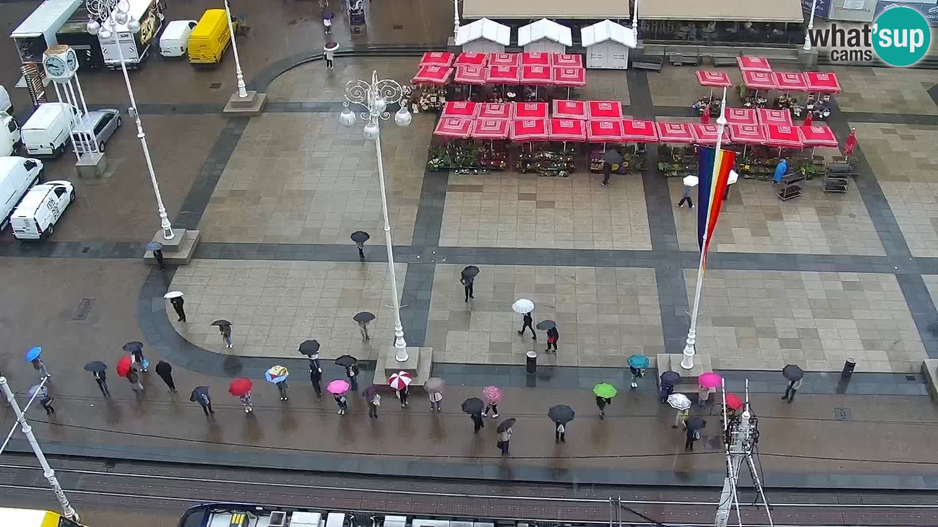 LIVE Webcam Zagreb Hotel Dubrovnik | Ban Jelačić square