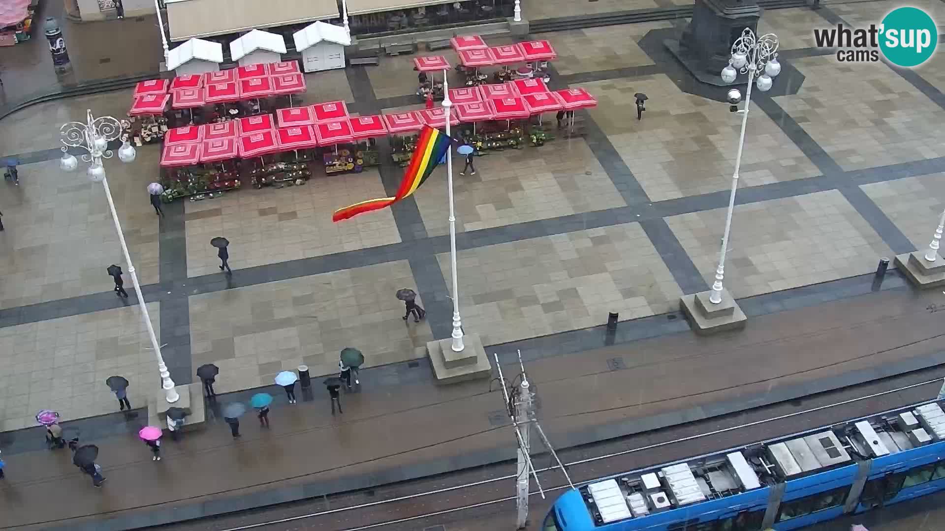 Ban Jelačić live cam Zagreb – Hotel Dubrovnik