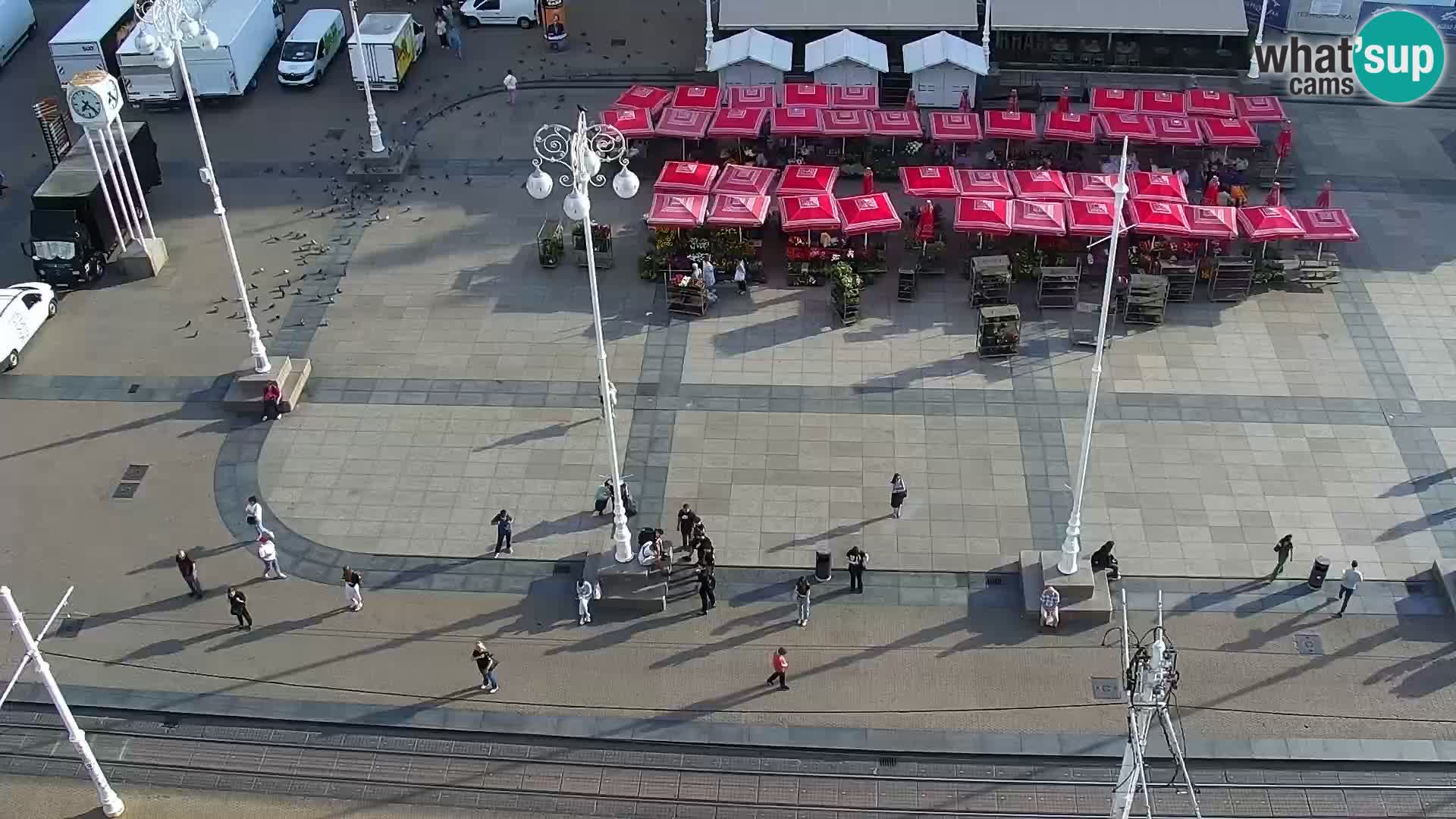 Plaza Ban Jelačić camera en vivo Zagreb – Hotel Dubrovnik