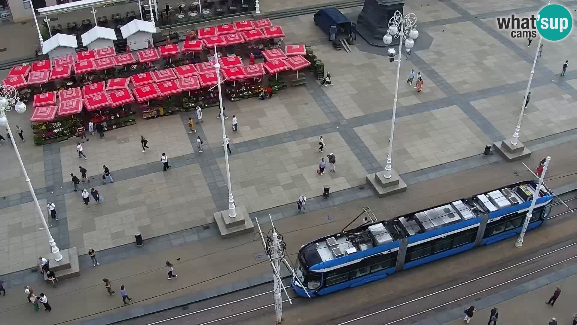 Trg Bana Jelačića v živo Zagreb – Hotel Dubrovnik