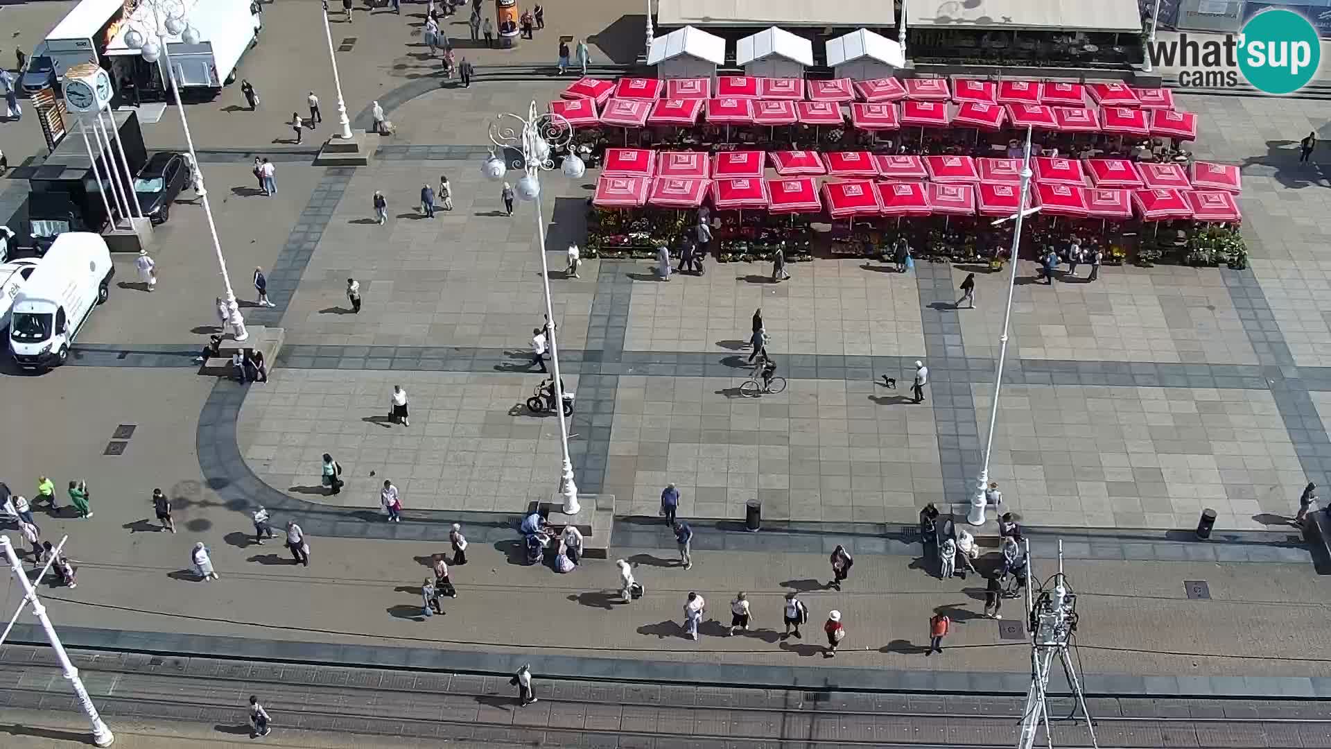 Plaza Ban Jelačić camera en vivo Zagreb – Hotel Dubrovnik
