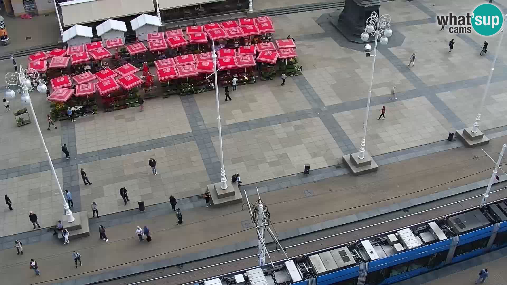 Ban Jelačić Platz Live webcam Zagreb – Hotel Dubrovnik