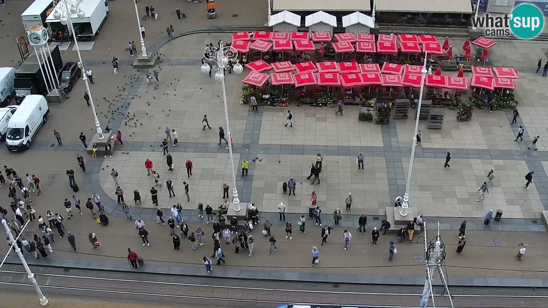 Plaza Ban Jelačić camera en vivo Zagreb – Hotel Dubrovnik