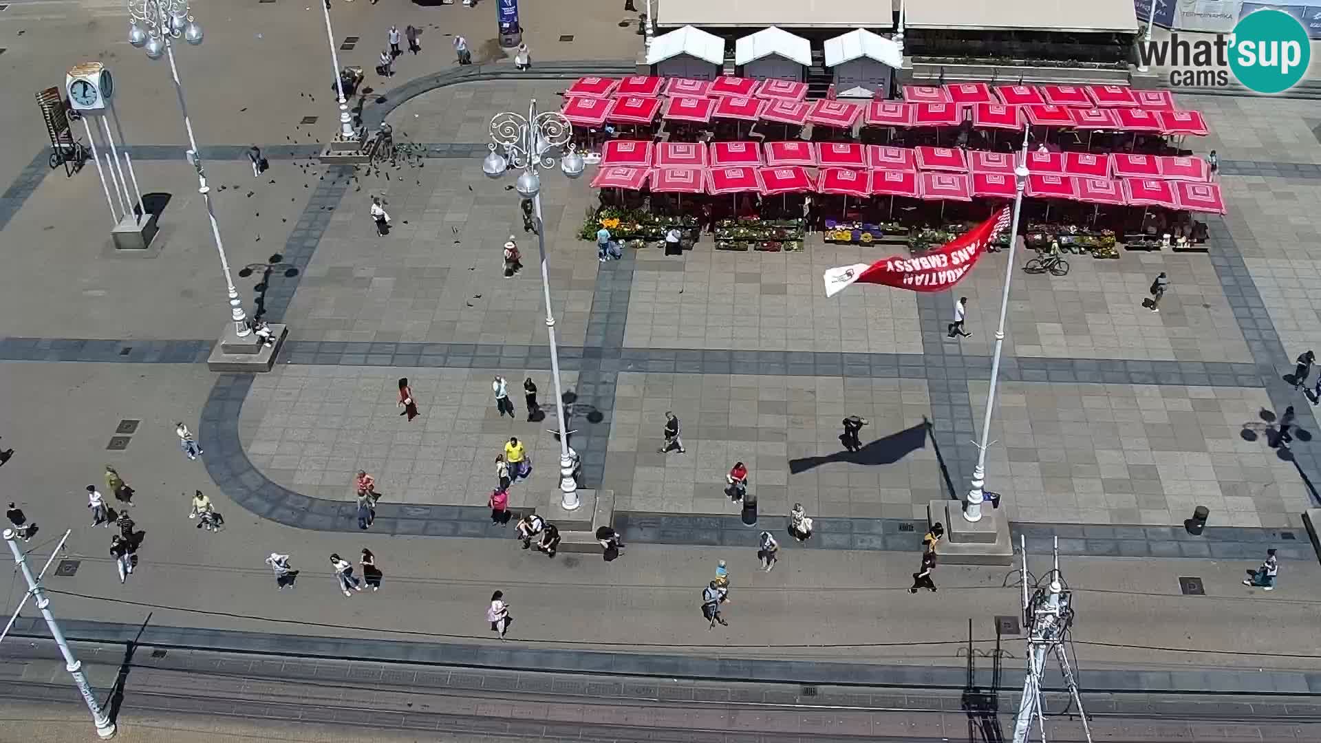 Piazza Ban Jelačić livecam Zagreb – Hotel Dubrovnik