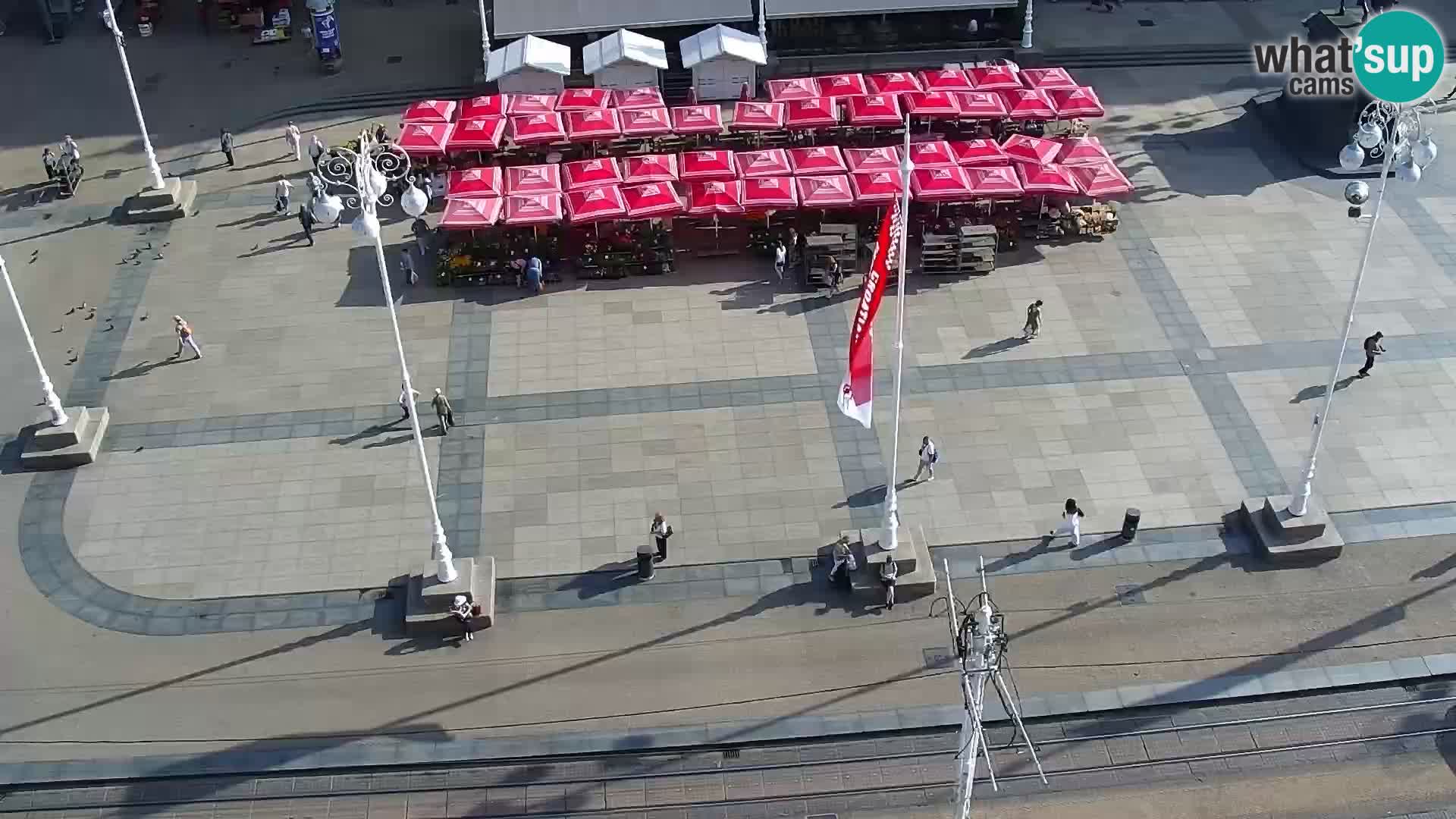 Ban Jelačić live cam Zagreb – Hotel Dubrovnik