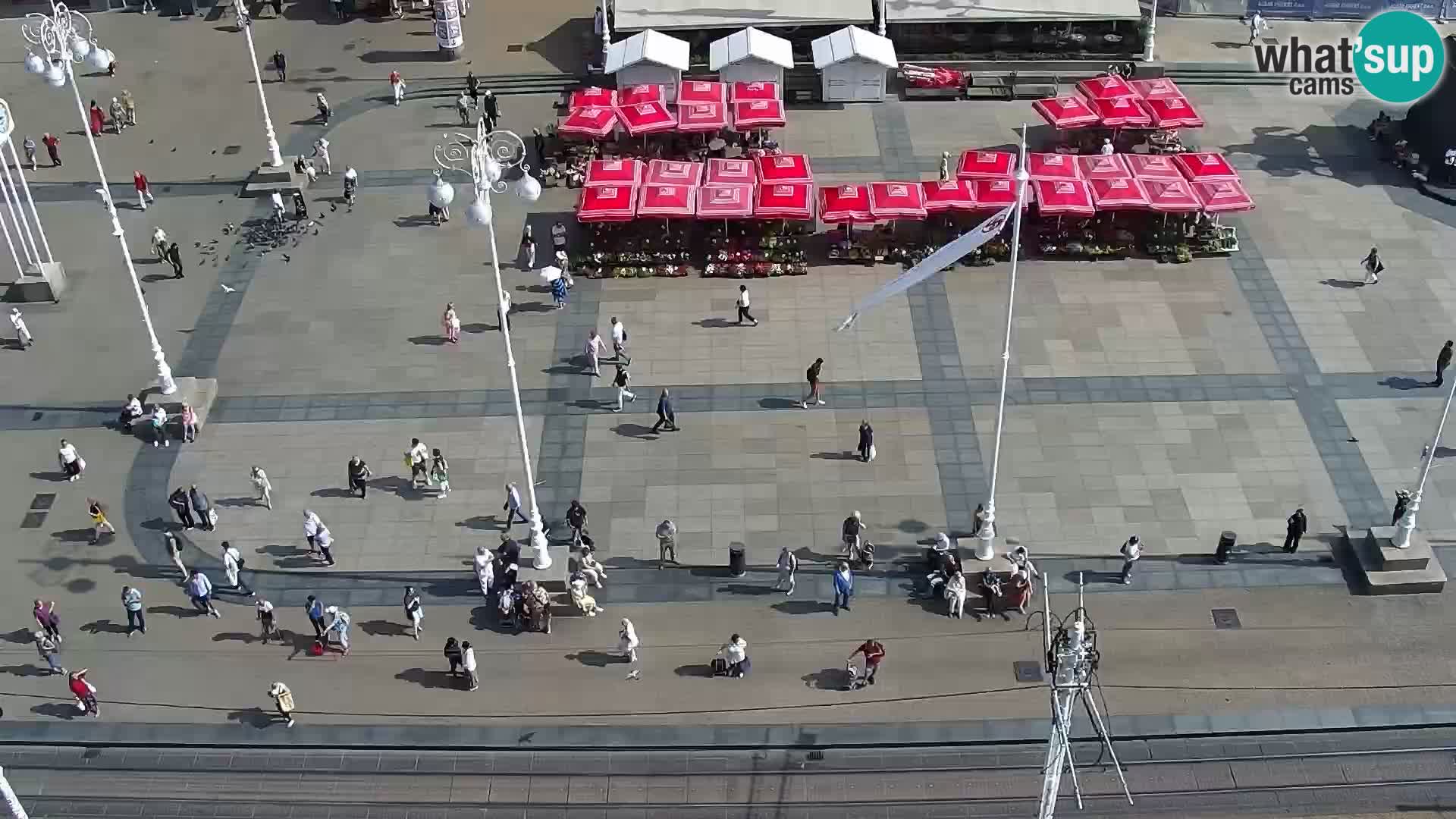 LIVE Webcam Zagreb Hotel Dubrovnik | Ban Jelačić square