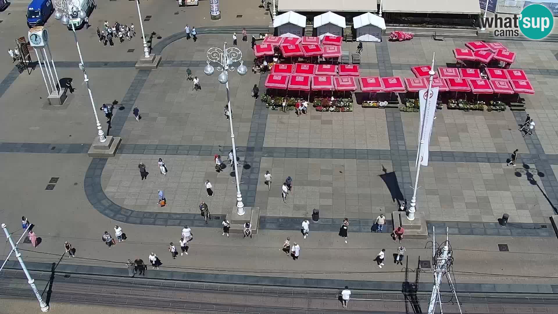 Trg Bana Jelačića v živo Zagreb – Hotel Dubrovnik