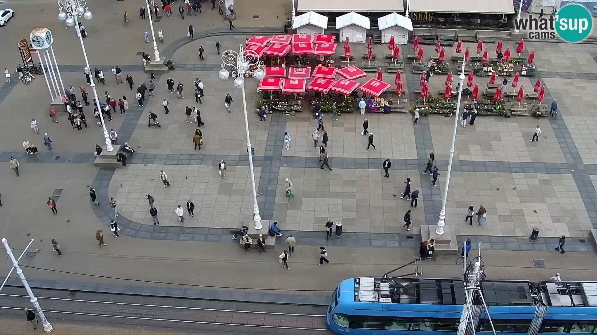 Ban Jelačić live cam Zagreb – Hotel Dubrovnik