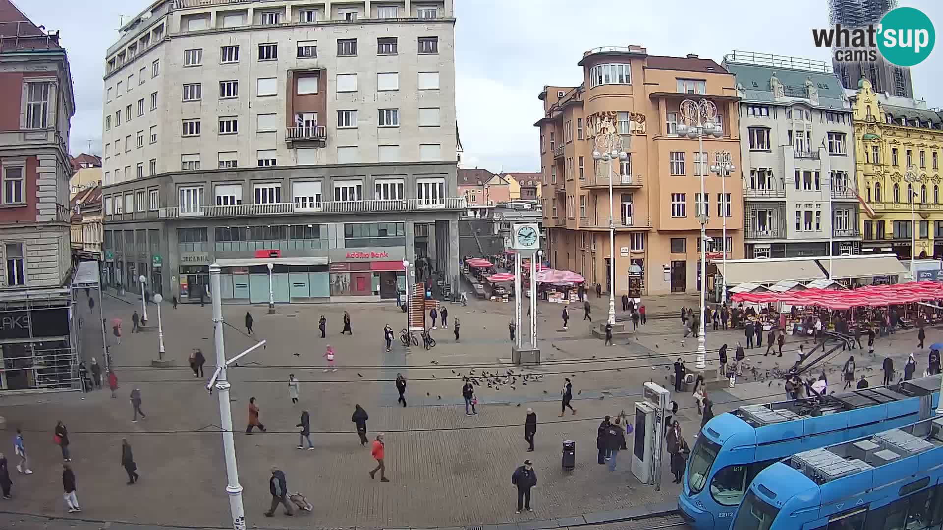 Zagreb Live Ban Jelačić | Croacia