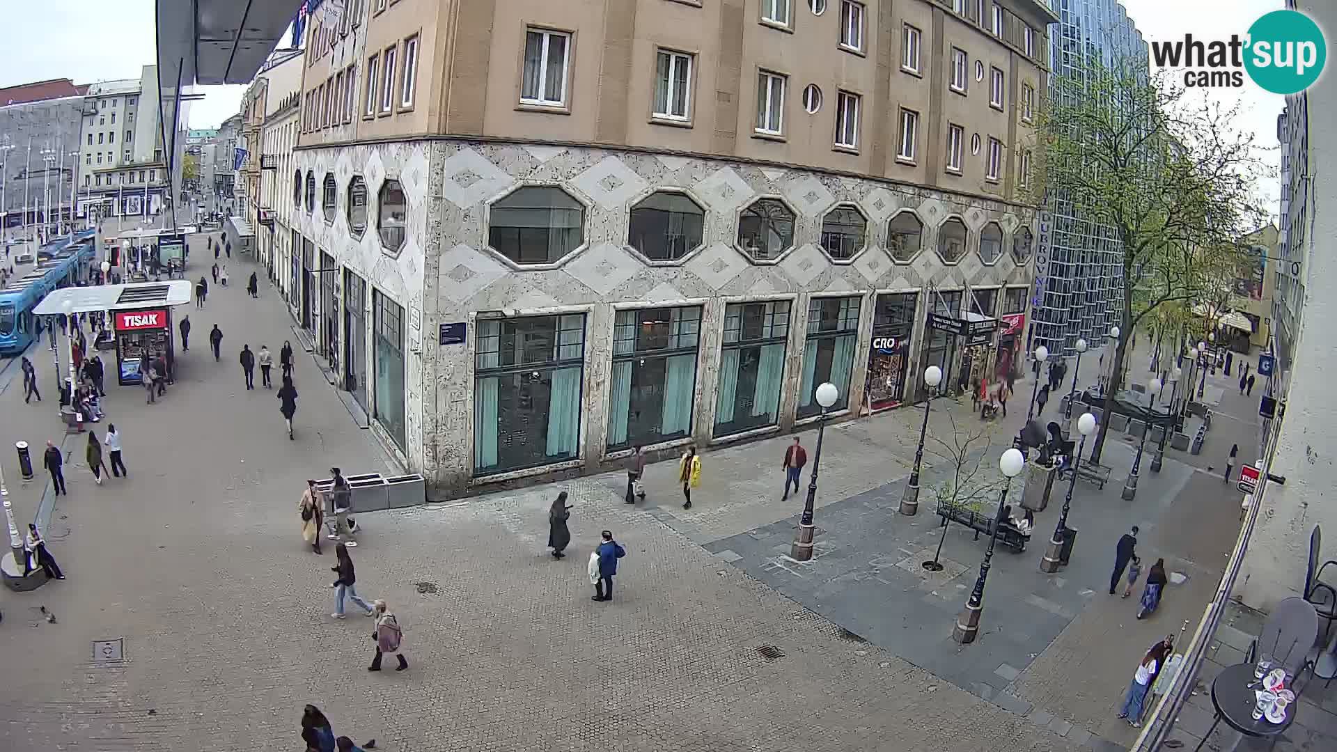 Zagreb Live Ban Jelačić | Croacia